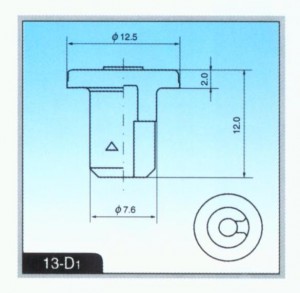 13-D1